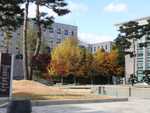 CIMG0574.JPG